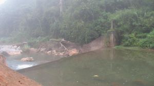 南泥自然村 南泥自然村