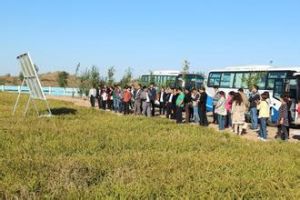 包敖力布 包敖力布