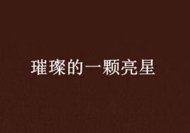 璀璨的一顆亮星 璀璨的一顆亮星