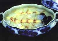 靈芝戀玉蟬 靈芝戀玉蟬