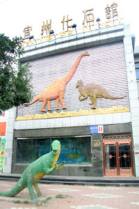 宜州化石館 宜州化石館