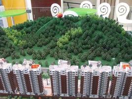 黃旗印象 黃旗印象