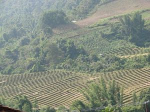 賀蚌新寨村 賀蚌新寨村