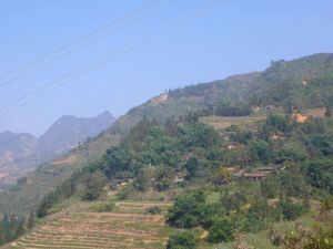 松毛坡自然村 松毛坡自然村