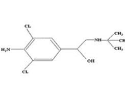 尿兒茶酚胺 尿兒茶酚胺