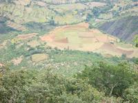 陶家坪自然村 陶家坪自然村