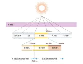 太陽紫外輻射 太陽紫外輻射