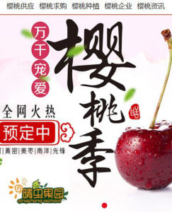 中國櫻桃產業網
