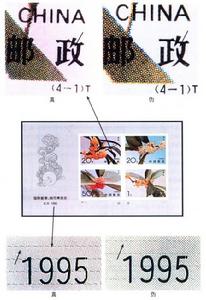 無齒小全張真偽鑑別