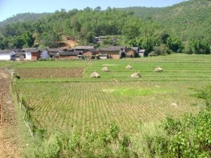 大窩坑自然村 大窩坑自然村