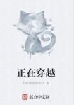 正在穿越 正在穿越