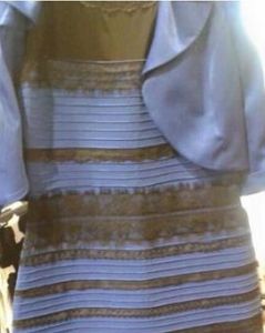 藍黑白金裙子 藍黑白金裙子