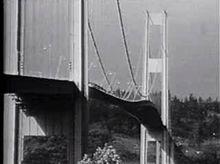 蜻蜓[差翅亞目昆蟲]