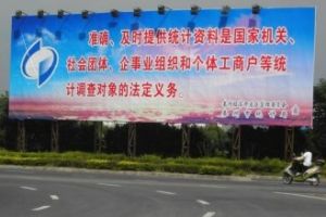 《中華人民共和國統計法》