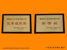 2009年槐蔭區鼓號操大賽金號獎