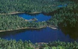 九十九龍潭 九十九龍潭