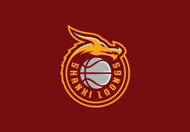 山西國投職業籃球俱樂部 山西國投職業籃球俱樂部