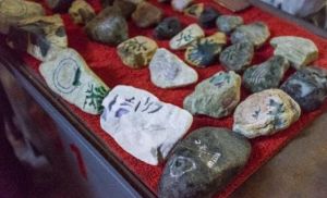 瑞麗賭石 瑞麗賭石