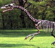 （圖）內蒙古龍