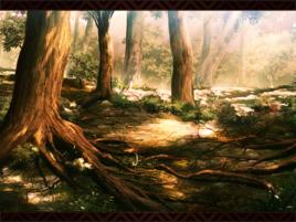 格蘭之森 格蘭之森