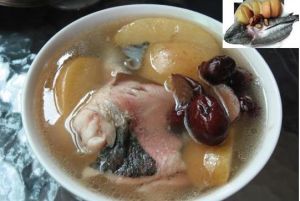 紅蘋果紅棗煲生魚湯 紅蘋果紅棗煲生魚湯