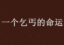 一個乞丐的命運 一個乞丐的命運