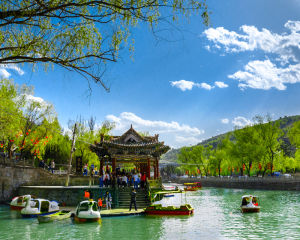 延安萬花山 延安萬花山