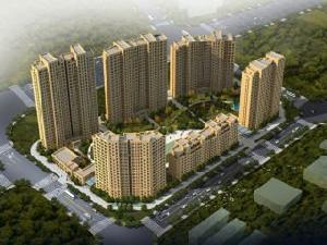 金匱大觀 金匱大觀