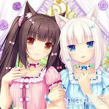 貓娘[二次元衍生詞]