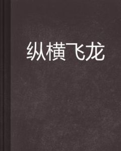 縱橫飛龍 縱橫飛龍
