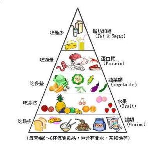 營養金字塔