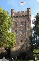 黑塔[葡萄酒品牌]