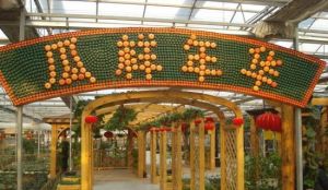 四季農夫樂園 四季農夫樂園