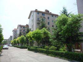 共富新村 共富新村