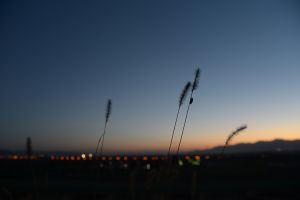 團山[延慶團山]