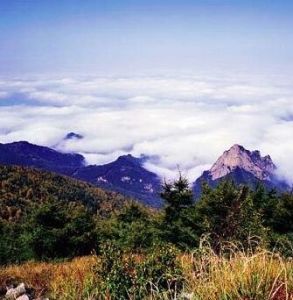 霧靈山森林公園 霧靈山森林公園