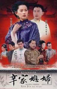 辛家媳婦 辛家媳婦