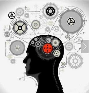 定義特徵 定義特徵