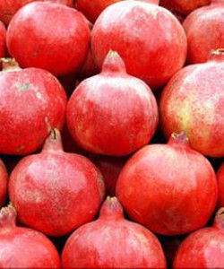 黃里石榴 黃里石榴