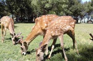 賽汗塔拉生態園 賽汗塔拉生態園
