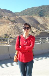 李敏[中南大學信息科學與工程學院副教授]