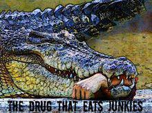 可怕的廉價毒品：鱷魚