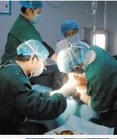 肛門指檢 肛門指檢