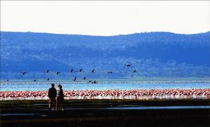 我心翱翔（范啟麟攝）