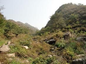 鐵礦峪村 鐵礦峪村