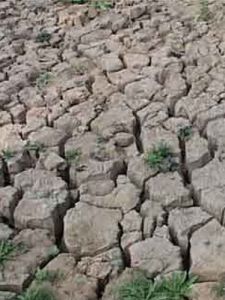 久旱逢甘雨 久旱逢甘雨