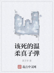 該死的溫柔真子彈 該死的溫柔真子彈