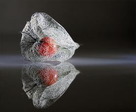 觀念藝術 觀念藝術