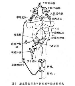 血管運動性鼻炎