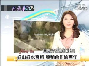 東森財經新聞台 東森財經新聞台